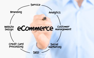 E-Commerce Success in an Ever-Changing Environment